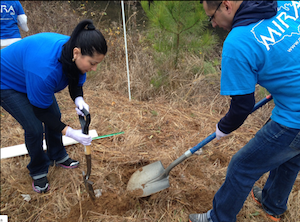 Miraists Helped Plant 1,400 Trees in Charlotte